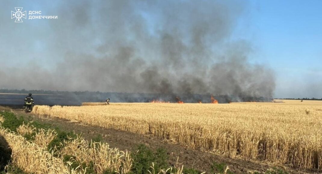 На полях Донецкой области из-за российских обстрелов было уничтожено более 700 гектаров пшеницы