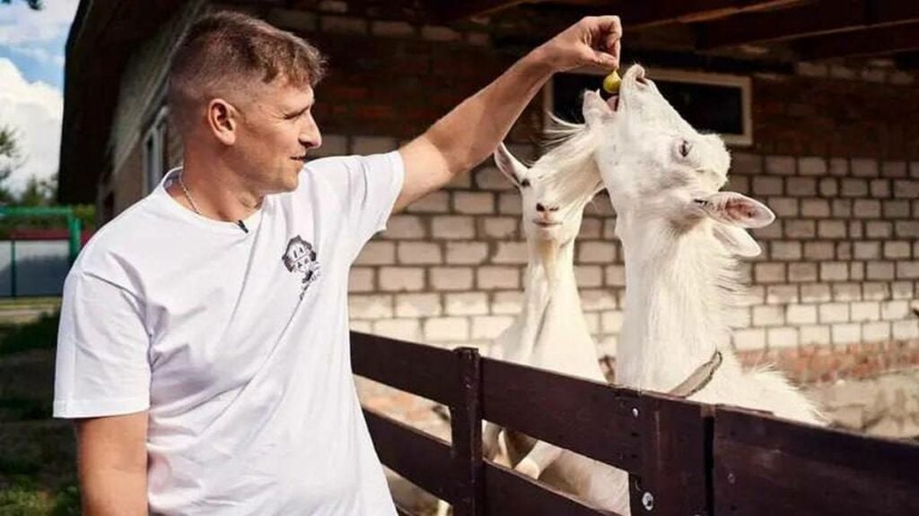 Родина переселенців із Луганська створила та розвиває сирний бізнес на Полтавщині
