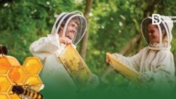 Медовое наследие: как семья пчеловодов из Луганщины продолжает семейное дело в Каневе