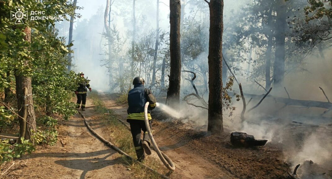 Рятувальники Луганщини закликали не провокувати виникнення пожеж в екосистемах