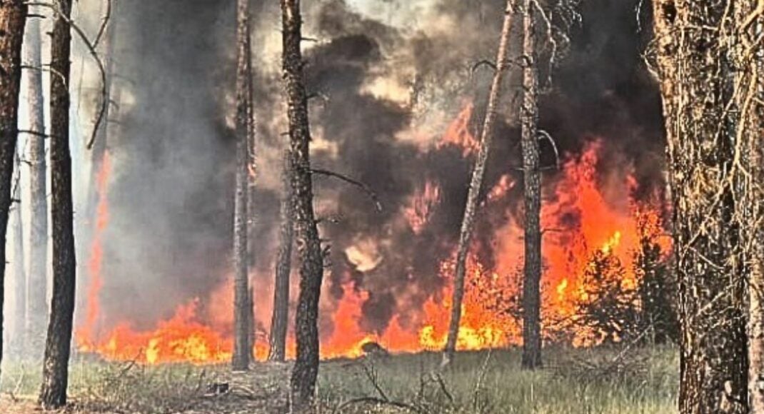 6 пожеж на відкритих територіях й 1 у природній екосистемі ліквідували на Донеччині (фото)