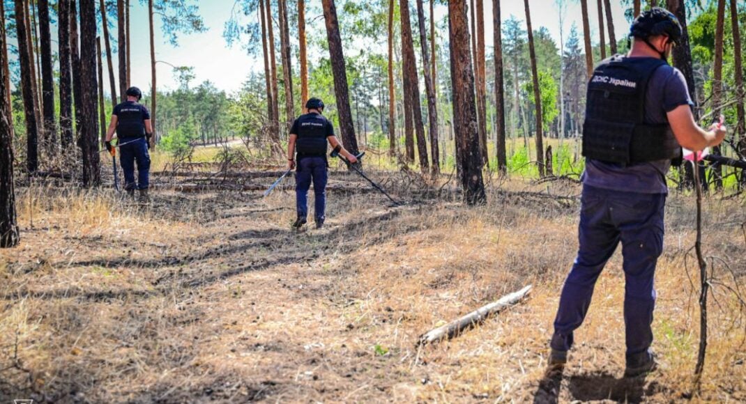 Пиротехники ГСЧС Волыни помогают уберечь от огня леса Донетчины
