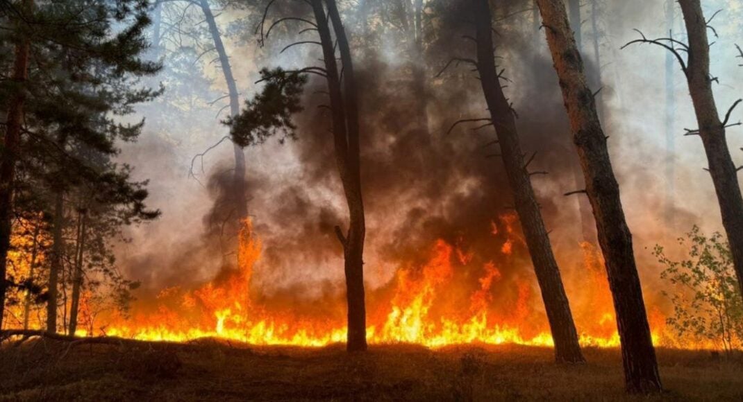 Майже 6 годин вогнеборці гасили пожежу у Святих горах на Донеччині