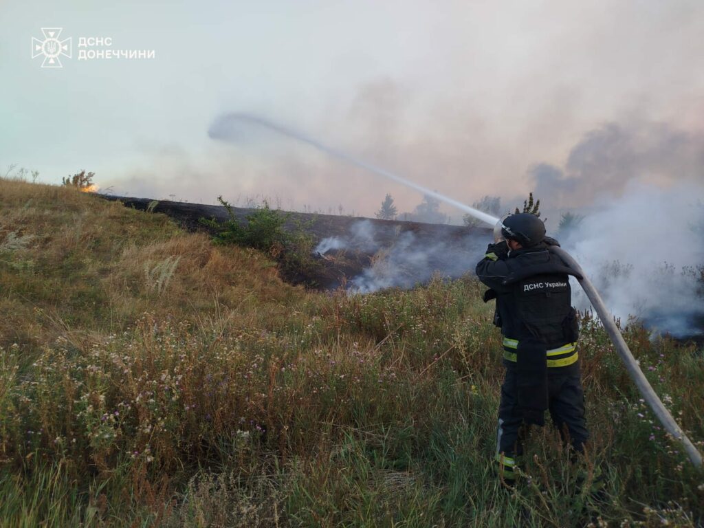 пожежі на донеччині 3