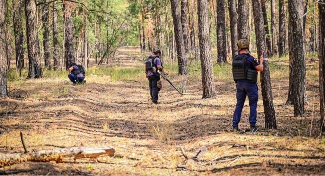 24 взрывоопасных предмета нашли в Краматорском и Покровском районах