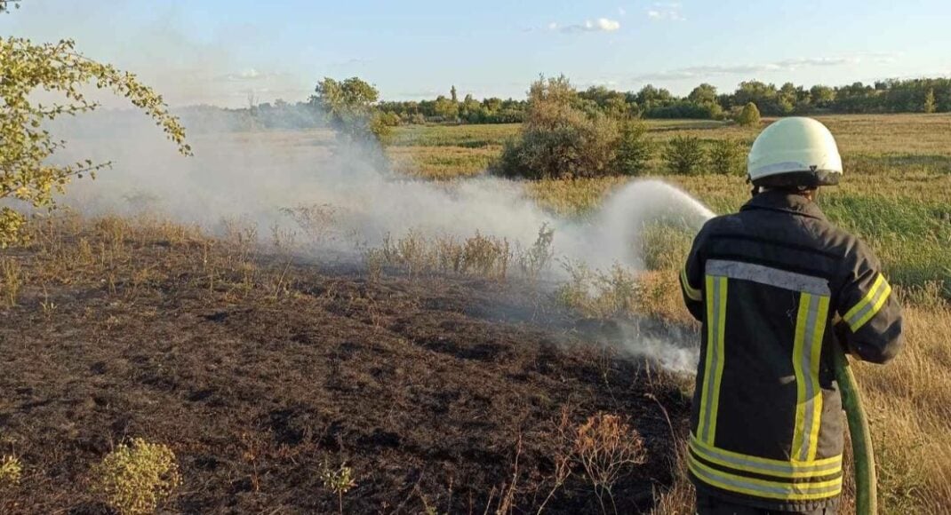 Протягом серпня на Донеччині вогнем знищено 217 га сухої рослинності