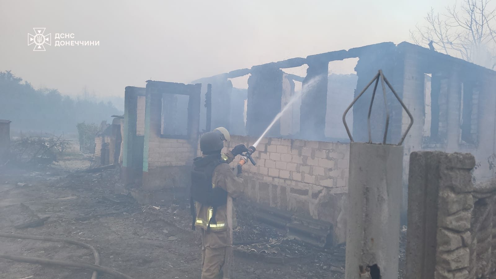 На Донеччині рятувальники другу добу приборкують масштабну лісову пожежу у "Святих Горах" (фото)