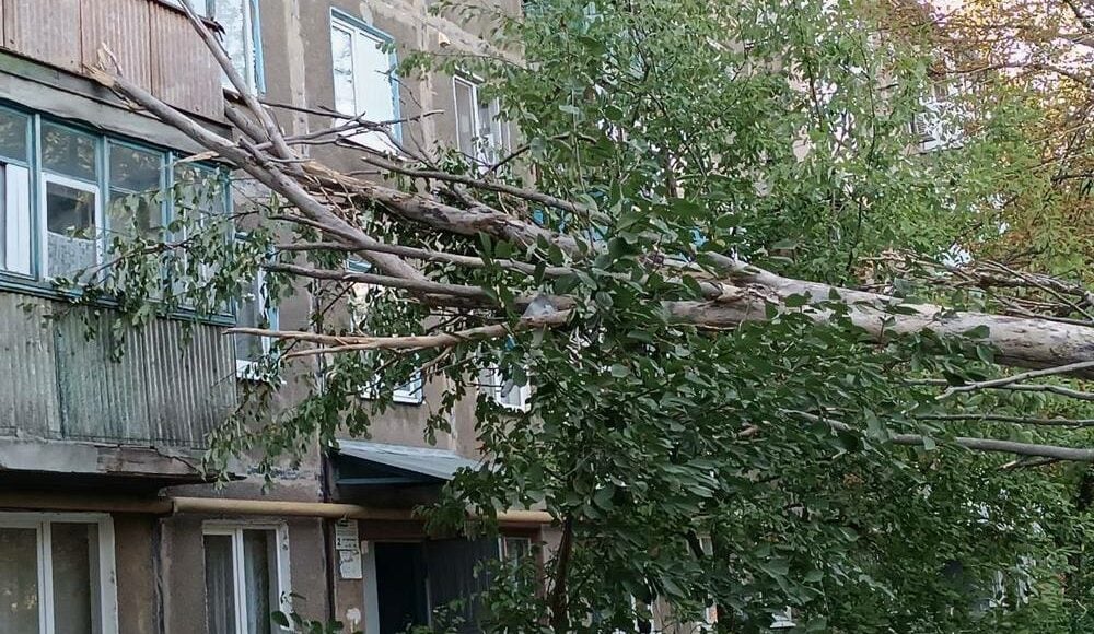 В окупованому Донецьку дерево впало на будинок (фото)