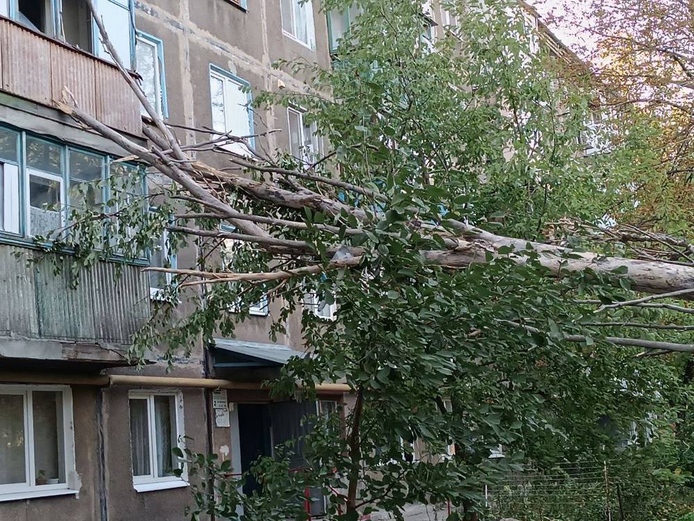 В окупованому Донецьку дерево впало на будинок (фото)