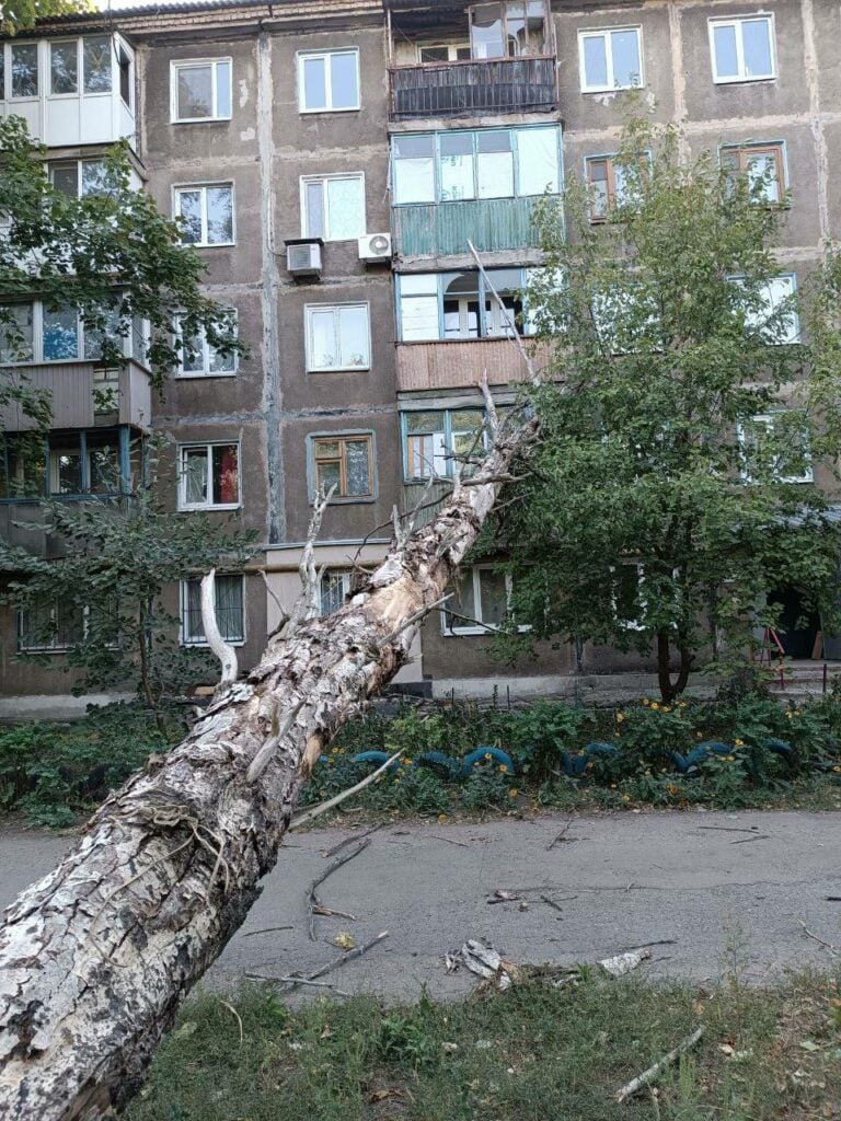 В окупованому Донецьку дерево впало на будинок (фото)