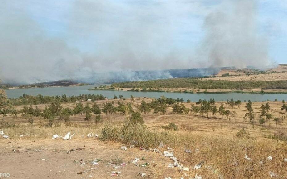 Окупована Луганщина страждає від нищівних пожеж