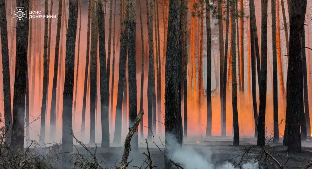 Чрезвычайный уровень пожарной опасности будет преобладать на Донетчине в течение еще трех дней