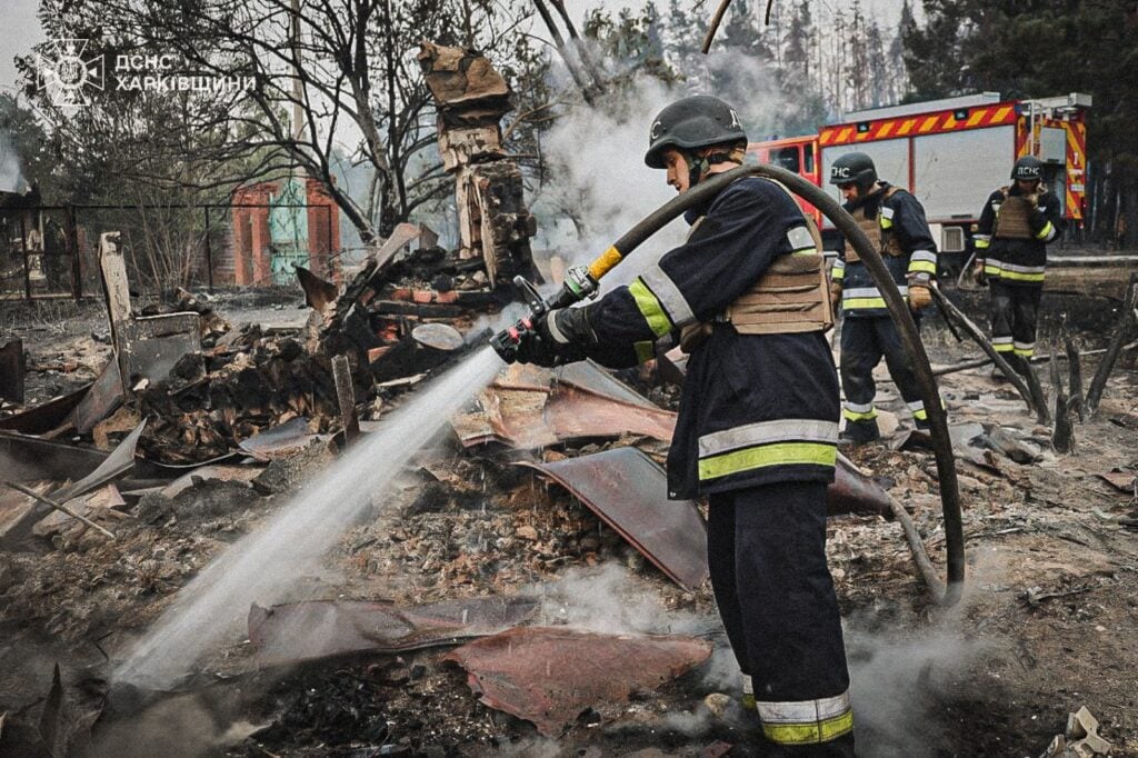 Масштабный лесной пожар в Донецкой и Харьковской областях 7