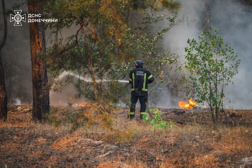 На Лиманщині ліквідували масштабну лісову пожежу 1