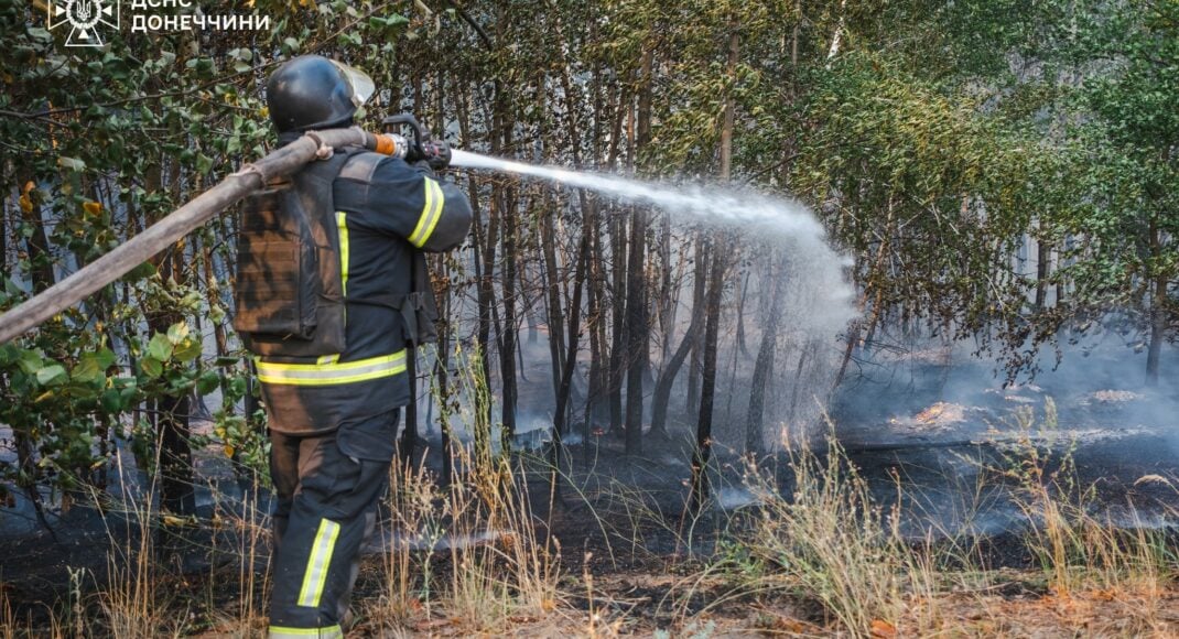 На Лиманщині ліквідували масштабну лісову пожежу (фото)