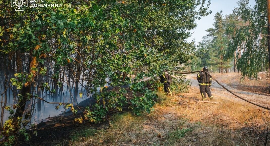 Спасатели локализовали масштабный лесной пожар на Лиманщине