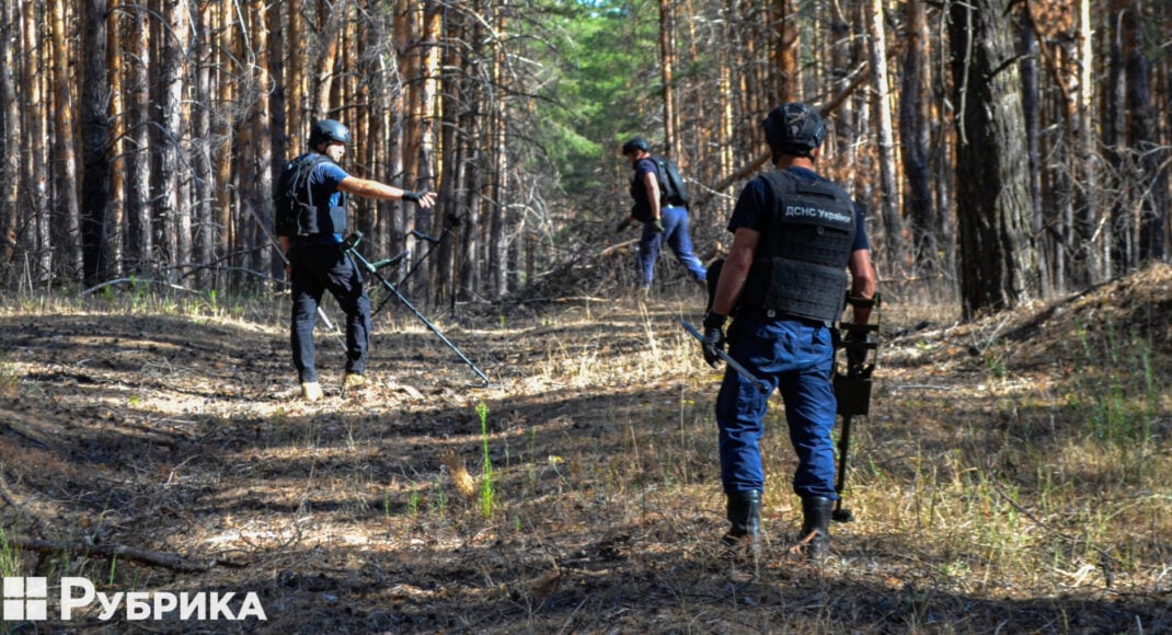 Журналісти показали, як у Нацпарку "Святі гори" на Донеччині розміновують лісові дороги