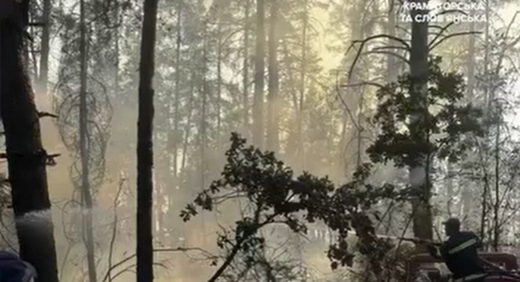 Полицейские предотвратили масштабный лесной пожар в Краматорском районе (видео)