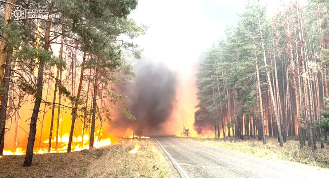 Рятувальники 4 добу ліквідовують пожежу на території Національного природного парку "Святі гори" (відео)