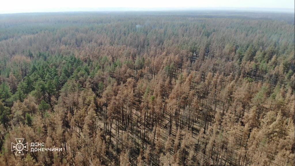 Рятувальники розповіли про масштаби ліквідованої лісової пожежу на території національного парку "Святі гори" (фото)