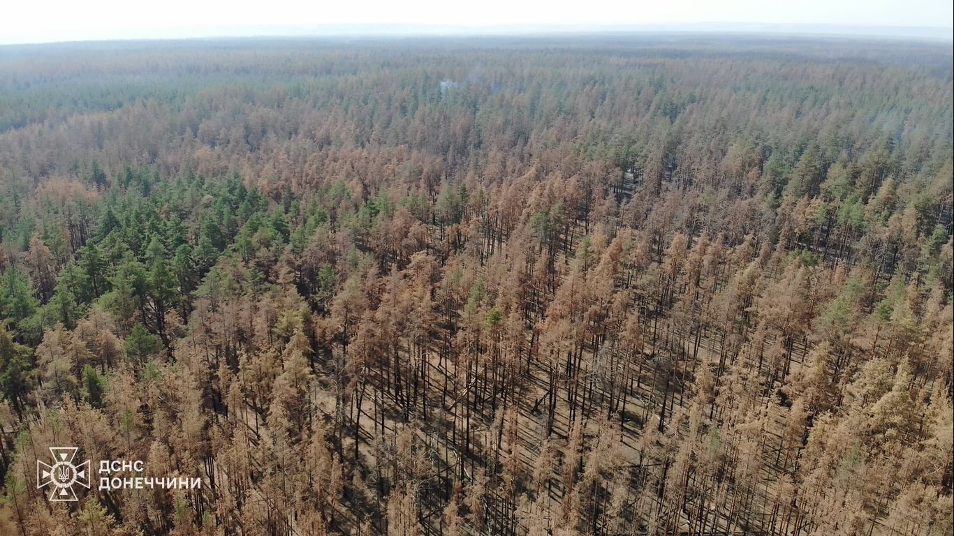 Рятувальники розповіли про масштаби ліквідованої лісової пожежу на території національного парку "Святі гори" (фото)