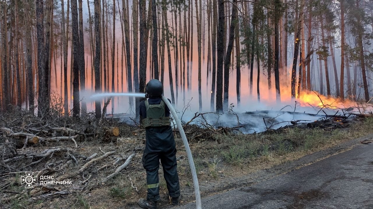 Рятувальники розповіли про масштаби ліквідованої лісової пожежу на території національного парку "Святі гори" (фото)