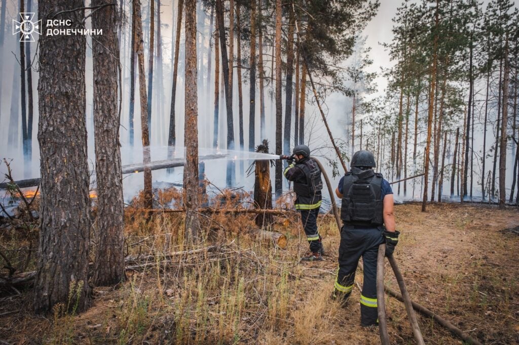 Рятувальники розповіли про масштаби ліквідованої лісової пожежу на території національного парку "Святі гори" (фото)