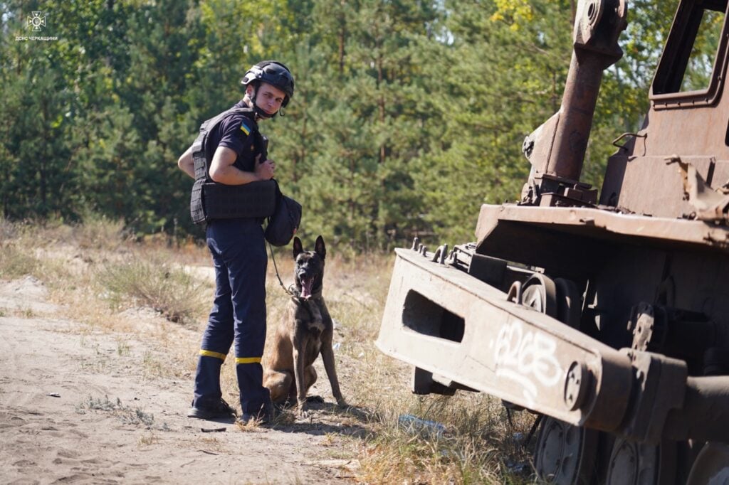 В разминировании территорий в Донецкой области помогают собаки-детекторы 11