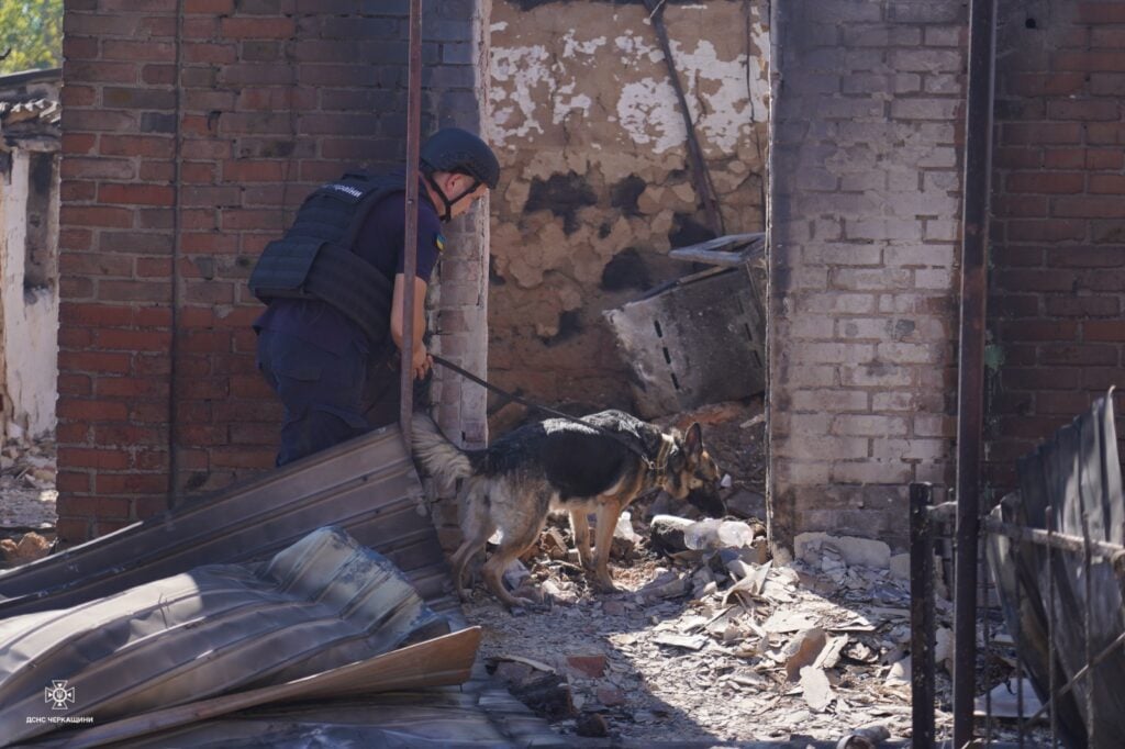 У розмінуванні територій на Донеччині допомагають собаки-детектори 6