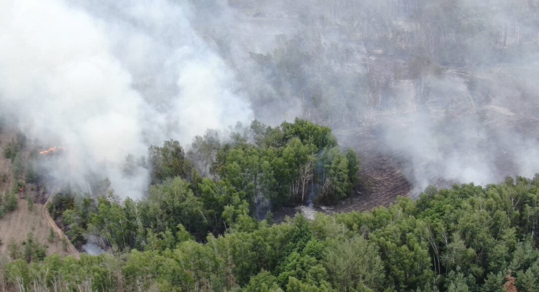 На Лиманщині вже 3 добу горить ліс (фото)