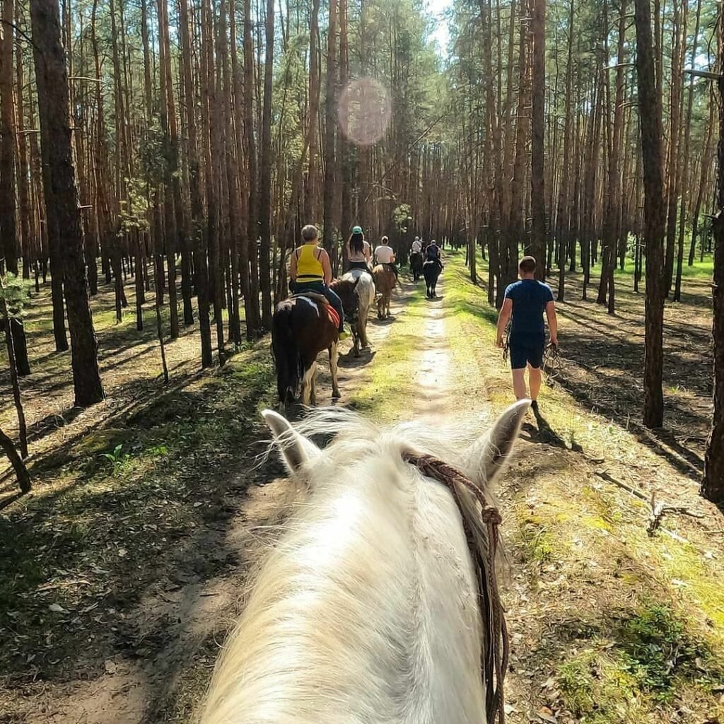 Прогулянка в Кремінському лісі.