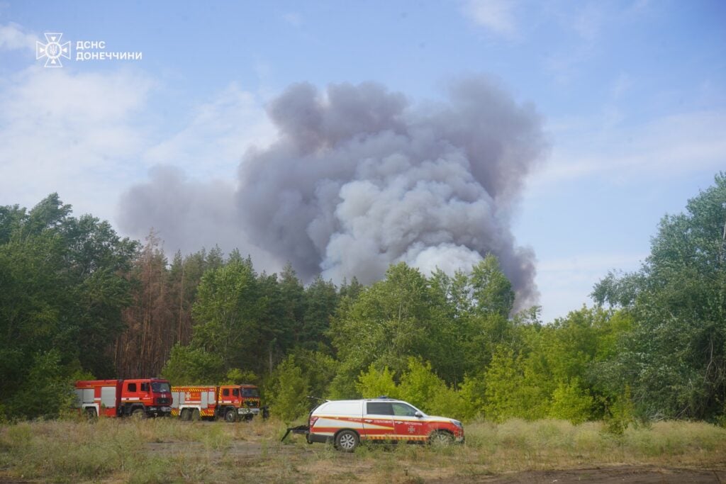 лісова пожежа у святих горах на донеччині 1