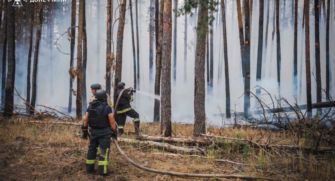 Вже п'яту добу 133 вогнеборці ліквідовують лісову пожежу у "Святих горах" на Донеччині (фото)