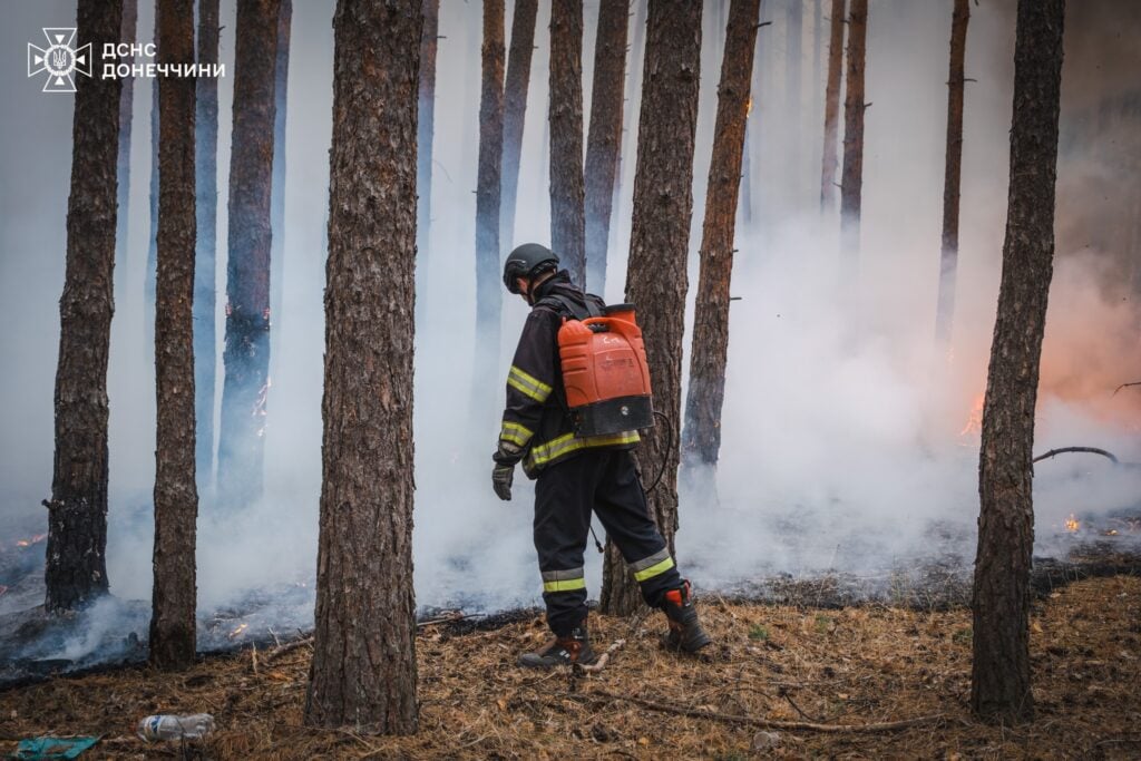 лісова пожежа у святих горах на донеччині 7