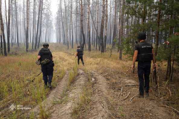 На Донетчине пиротехники за сутки обезвредили 42 взрывоопасных предмета