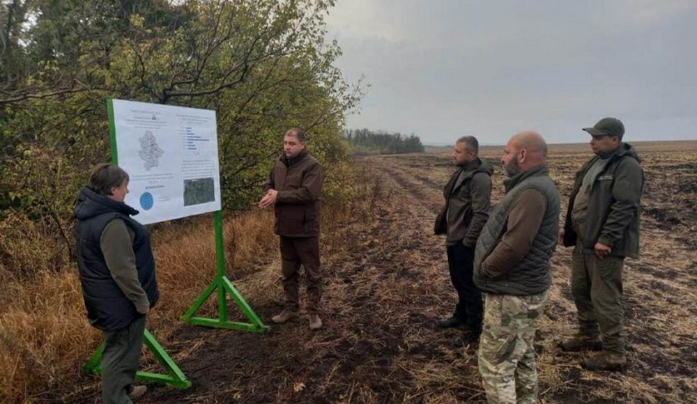 В Донецкой области обсудили сохранение самосейных лесов