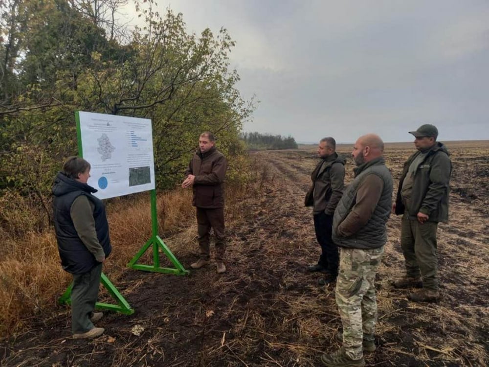 На Донеччині обговорили збереження самосійних лісів