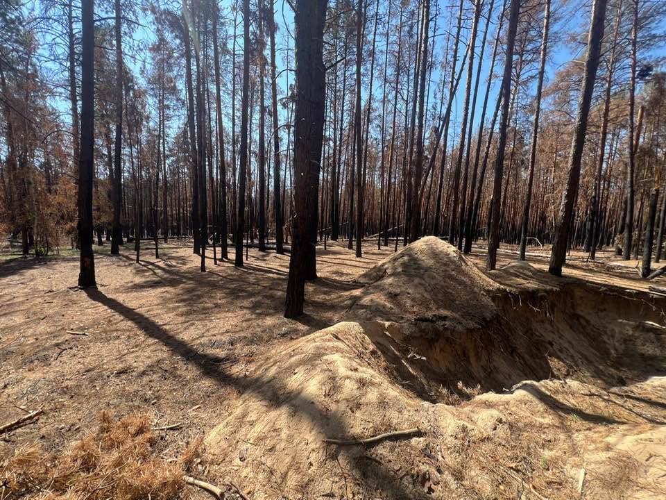 На Донеччині обговорили збереження самосійних лісів