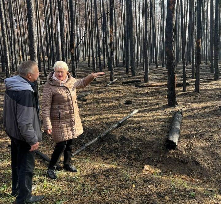 На Донеччині обговорили збереження самосійних лісів