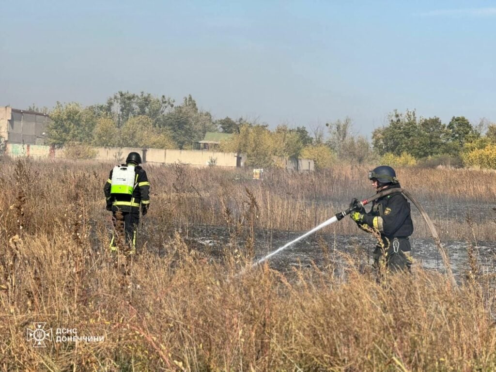 Минулої доби на Донеччині ліквідували 15 пожеж