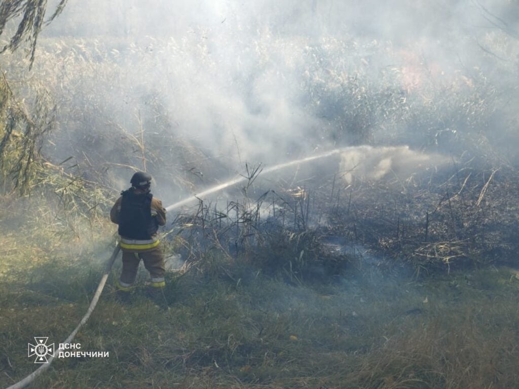 Минулої доби на Донеччині ліквідували 15 пожеж