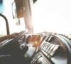 В оккупированном Луганске нарастают проблемы с общественным транспортом и мостами