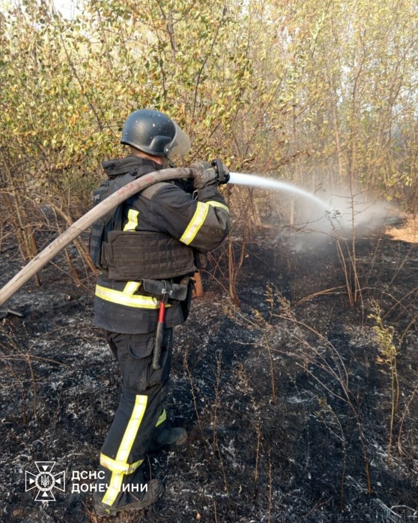 пожар в Донецкой области 2