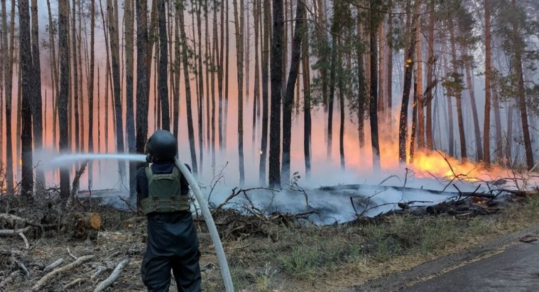 Через російський обстріл у "Святих горах" на Донеччині вигоріло близько 20 гектарів лісу