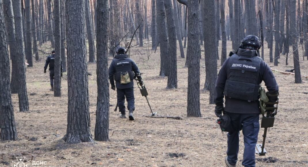 19 вибухонебезпечних предметів знешкодили вчора у трьох районах Донеччини (фото)