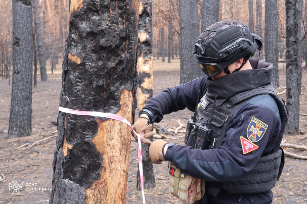 На Донеччині за тиждень піротехніки ДСНС знищили 127 вибухонебезпечних предметів