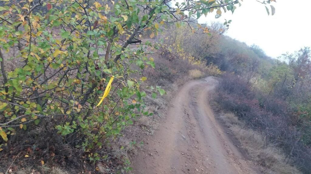 На окупованій Луганщині з'явились нові символи спротиву