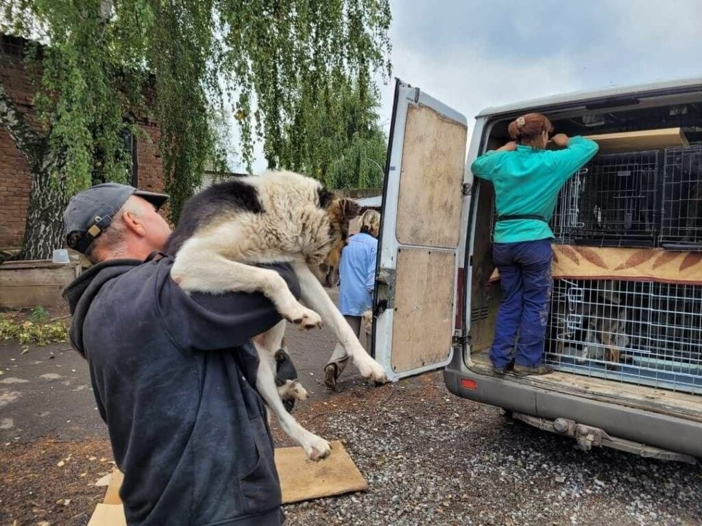 Під час евакуації