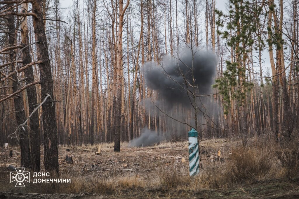 У Лиманській громаді піротехніки ДСНС виявили та знищили артилерійський снаряд