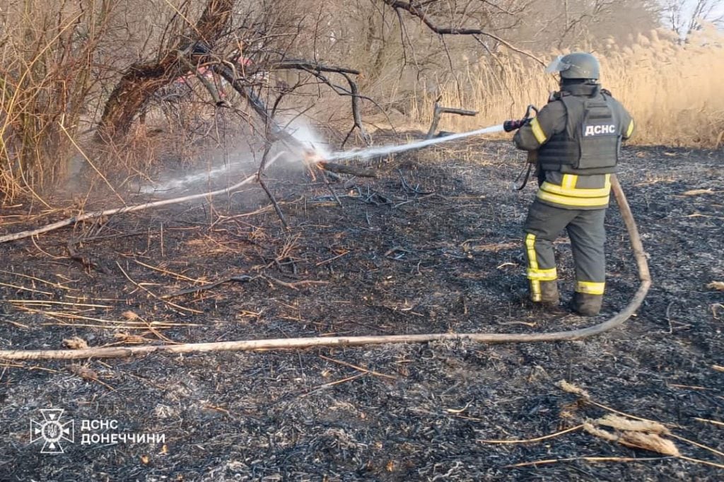 27 га сухостою та житловий будинок знищено вогнем на Донеччині 4